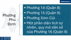 Điều chỉnh Giấy chứng nhận đầu tư tại Phường Phú Định, Tp. Hồ Chí Minh