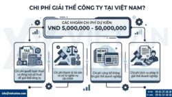 Chi phí giải thể công ty tại Việt Nam