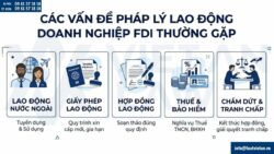 Tư vấn pháp luật lao động cho người nước ngoài tại Việt Nam