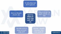 Sở hữu trí tuệ
