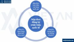 Đăng ký nhãn hiệu tại Togo
