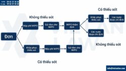 Đăng ký nhãn hiệu quốc tế theo hệ thống Madrid (2026)