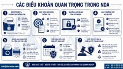 Soạn thảo thỏa thuận bảo mật thông tin (NDA) doanh nghiệp