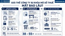 Bị khóa mã số thuế có giải thể công ty được không?