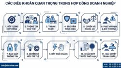 Các điều khoản quan trọng khi soạn thảo hợp đồng