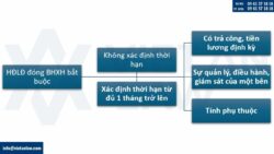 6 loại hợp đồng lao động không phải đóng bảo hiểm xã hội tại Việt Nam