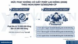 Mức phạt không có giấy phép lao động 2026: Quy định cập nhật nhất