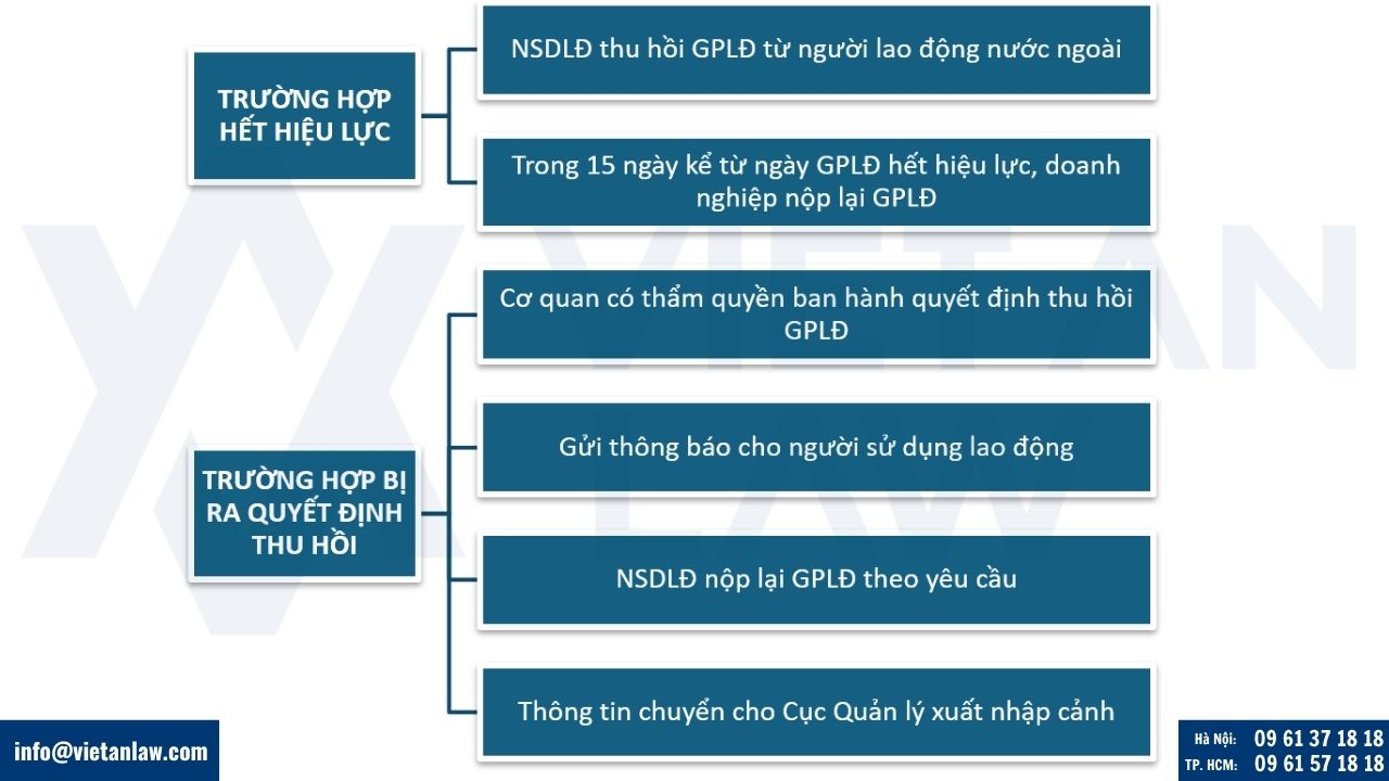 Thủ tục thu hồi giấy phép lao động