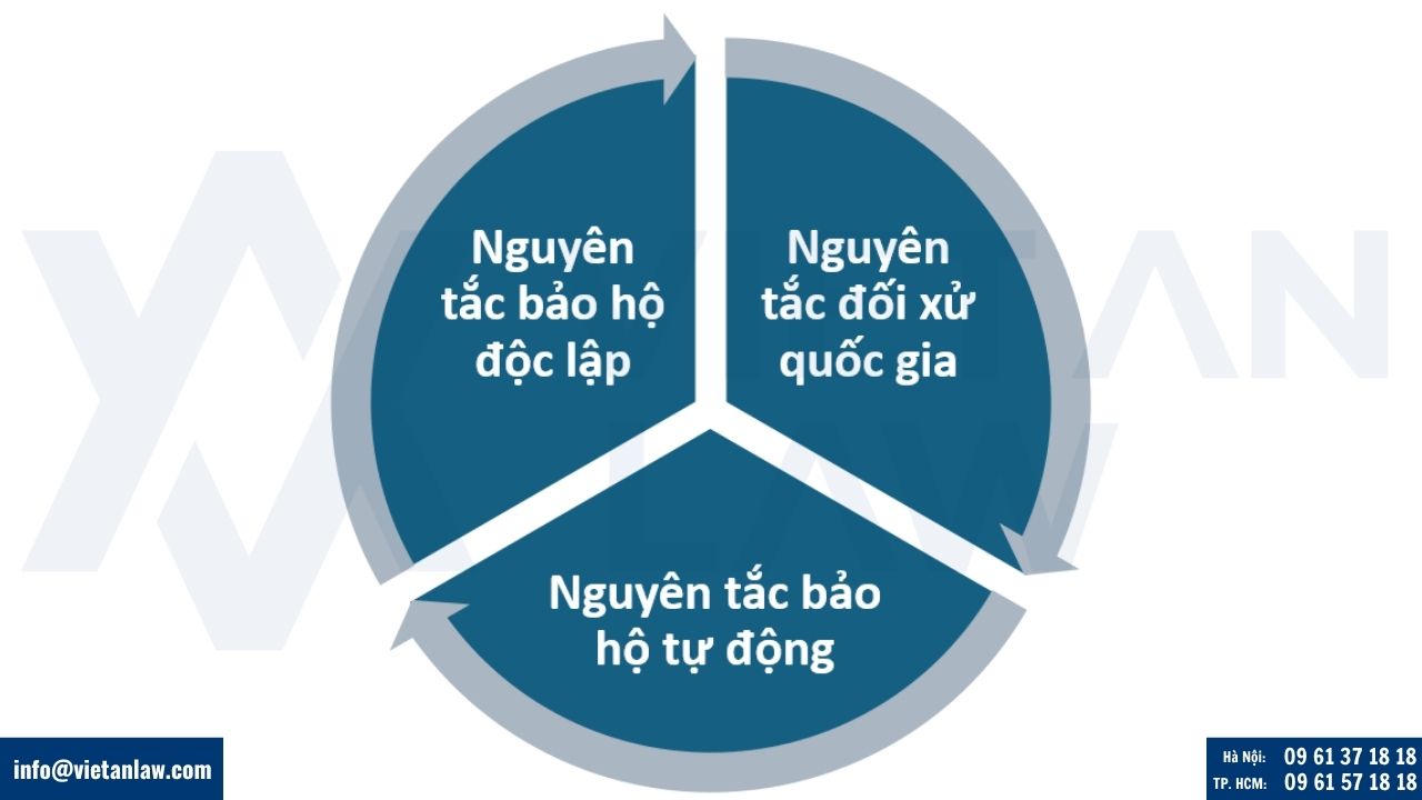 Nguyên tắc bảo hộ quyền tác giả